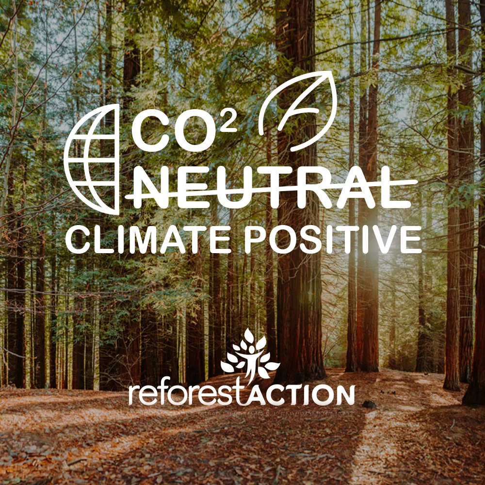 CO2 neutral climate positive