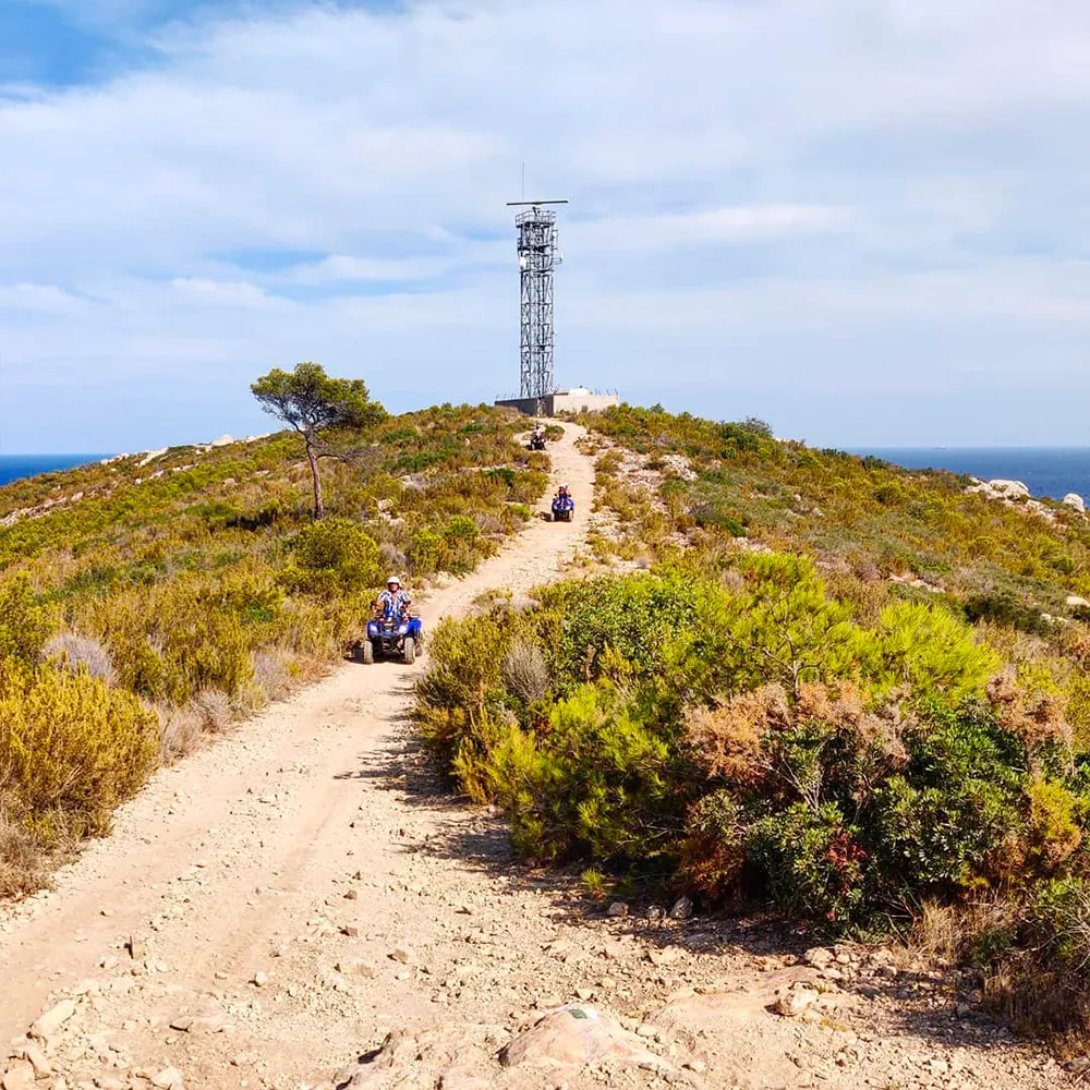 GUIDED ROUTE "MIRADOR Y BOSQUE" (1H) image 8