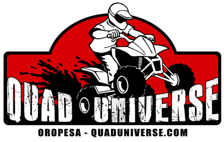 Quad Universe